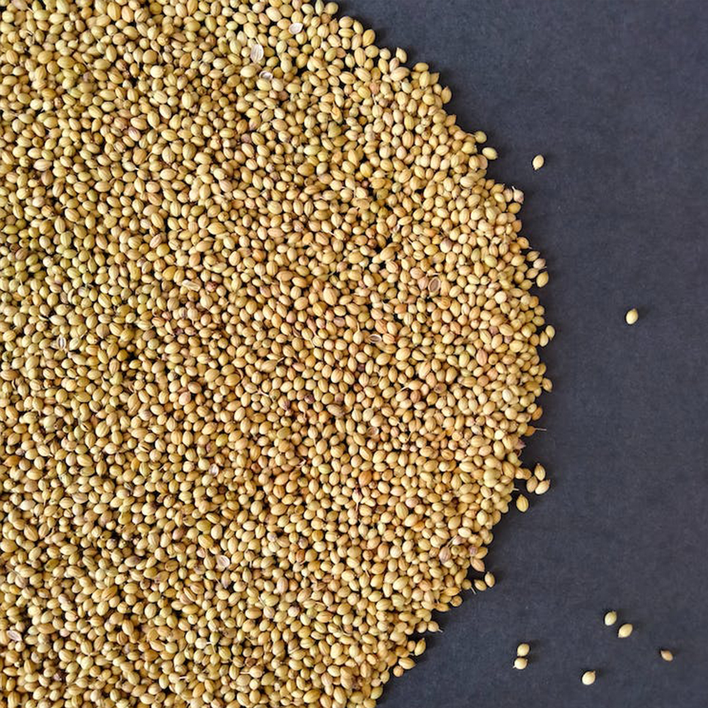 Foxtail Millet 